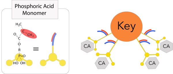 3D monomer #2 3D monomer #2