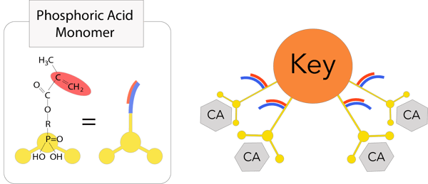 3D monomer #2