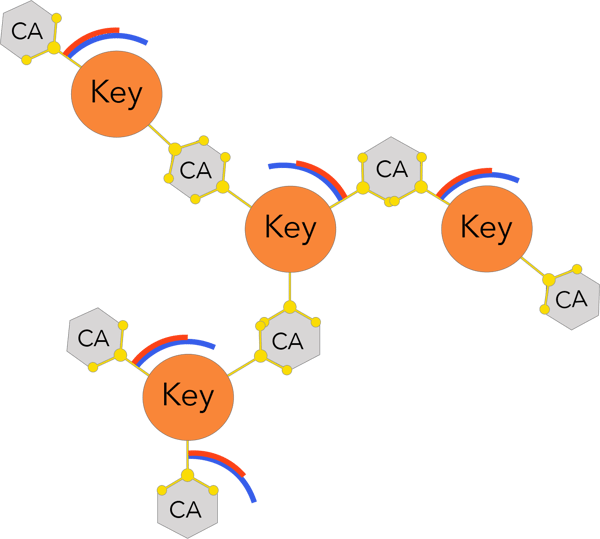3D monomer 3D monomer