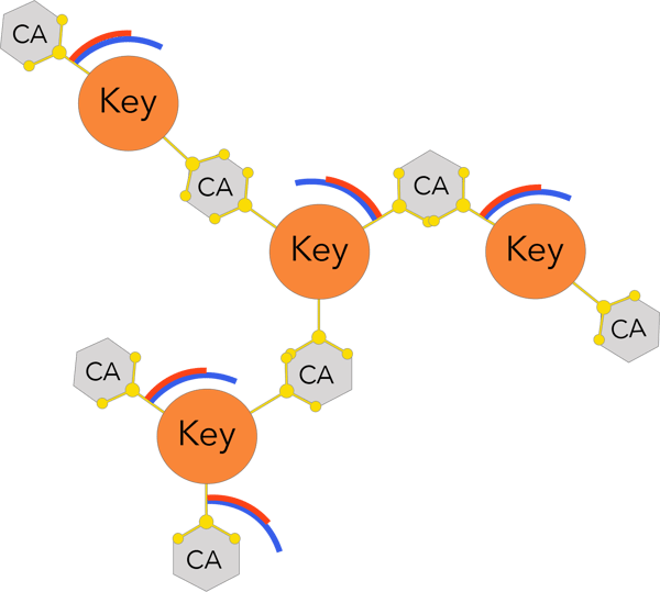 3D monomer